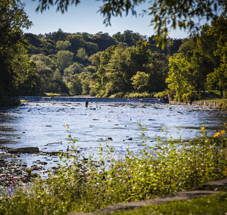 Kingsway Lambton Mills Neighbourood Image