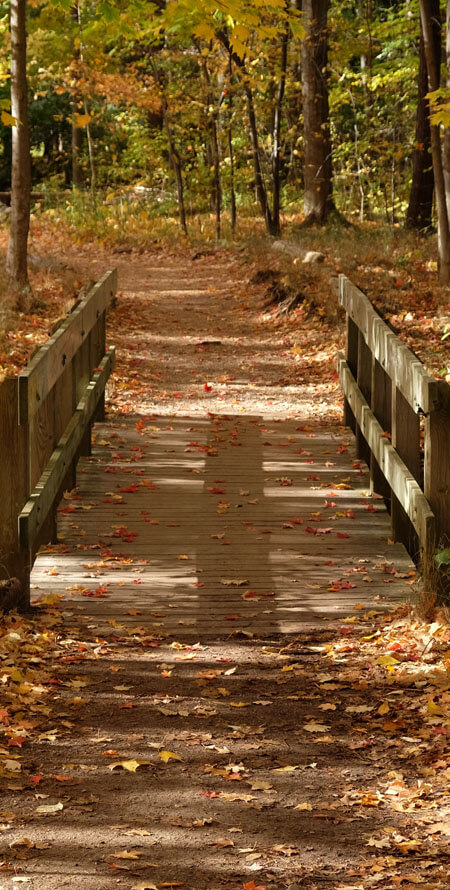 Kingsway Lambton Mills Neighbourood Image