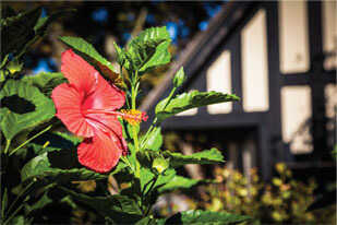 Kingsway Crescent Neighbourhood Imge