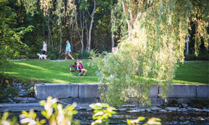 Kingsway Crescent Neighbourhood Imge