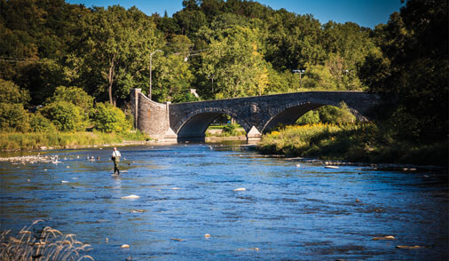 Kingsway Crescent Neighbourhood Imge