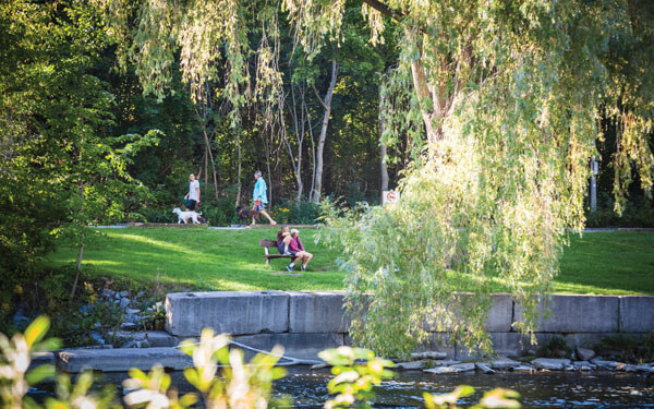 Kingsway Crescent Neighbourhood Imge