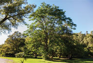 Kingsway Crescent Neighbourhood Imge