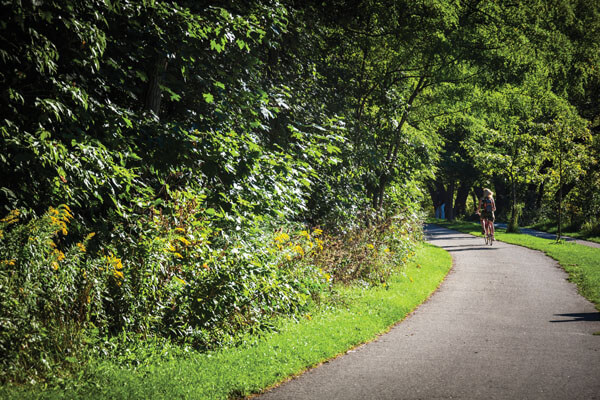 Kingsway Crescent Neighbourhood Imge