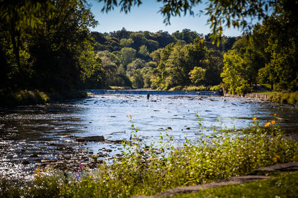 Kingsway Crescent Neighbourhood Imge