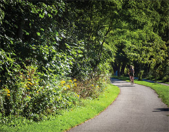 Kingsway Crescent Neighbourhood Imge