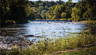 Kingsway Crescent Neighbourhood Imge