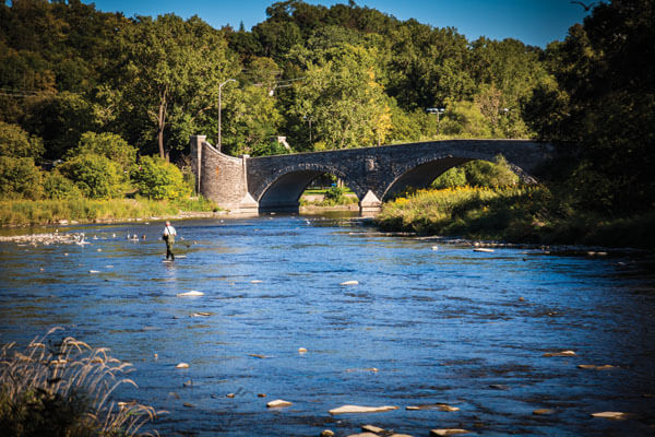 Kingsway Crescent Neighbourhood Imge