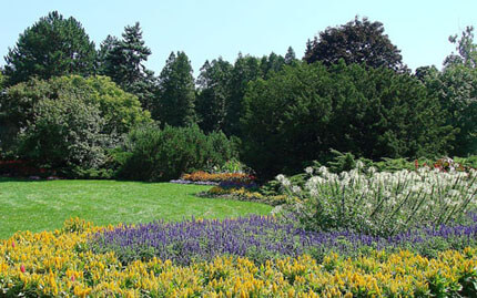 Kingsway Lambton Mills Neighbourood Image