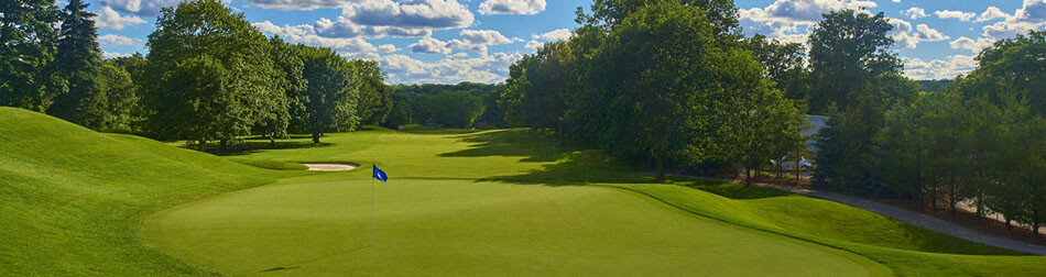 Kingsway Lambton Mills Neighbourood Image